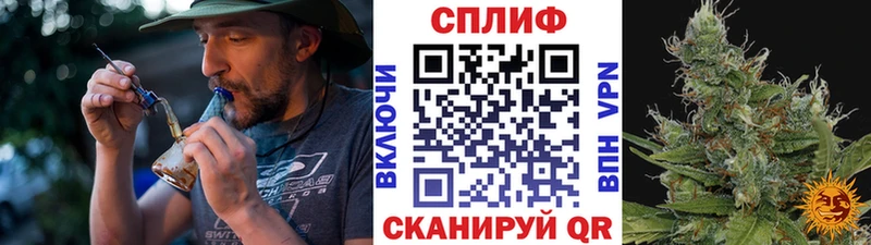 Что такое Королёв Конопля  КОКАИН  Гашиш  АМФ  Меф мяу мяу 
