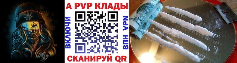 Alfa_PVP СК Королёв