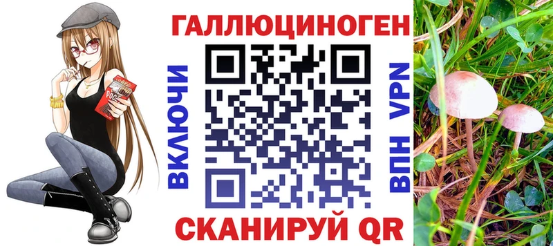 Галлюциногенные грибы прущие грибы  shop официальный сайт  Королёв  как найти закладки 